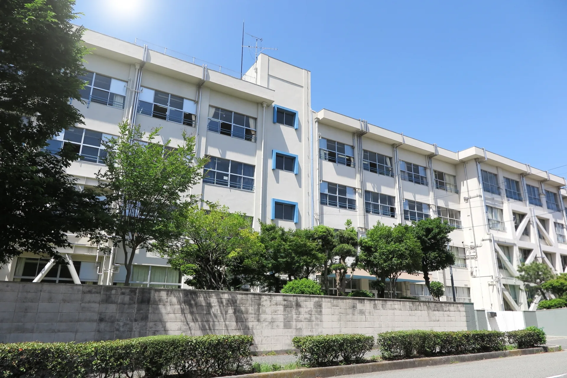 全小学校で開催